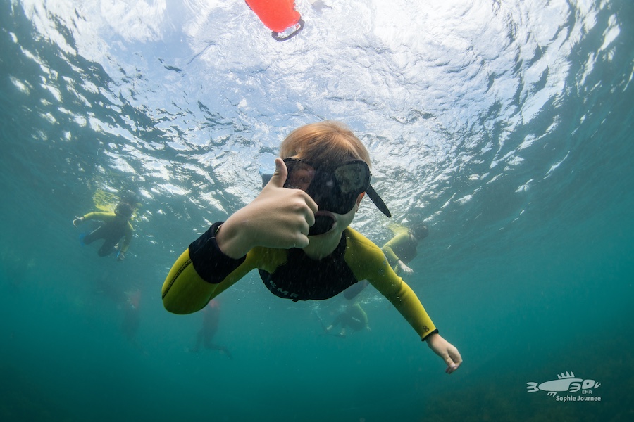 Snorkeling at Goat Island