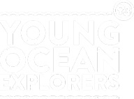 Young Ocean Explorers