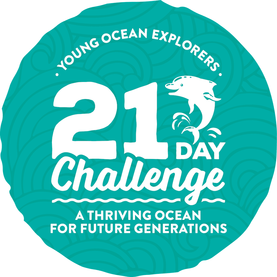 'The Hauraki Gulf' -  21 Day Challenge Term 1 2024